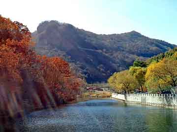 管家婆黑白马报图库，新朗逸论坛